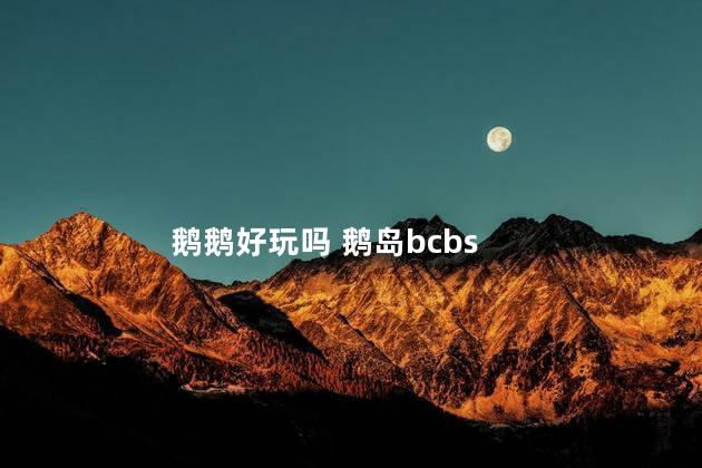 鹅鹅好玩吗 鹅岛bcbs